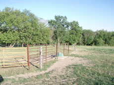 janssen performance horses farm